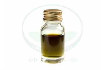 18 Công Dụng Thực Tế Của Tinh Dầu Bạch Đàn